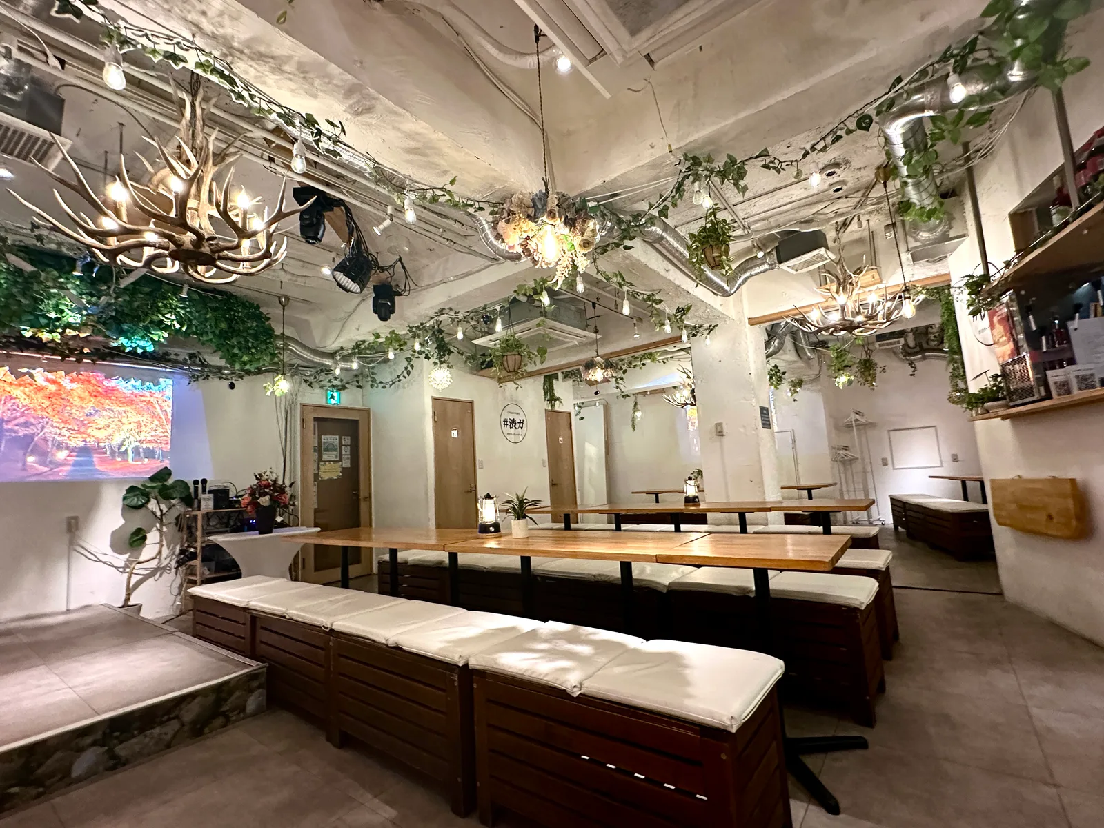 渋谷 貸切パーティー会場 ガーデンパティオの店内（シャンデリア）